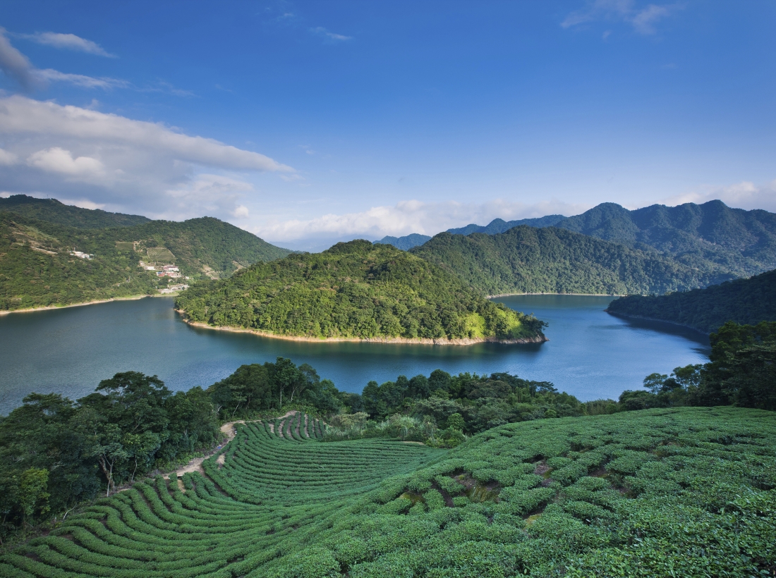 石碇千島湖|大巴到不了的秘境,私房許家手工麵線|雙北到府接送